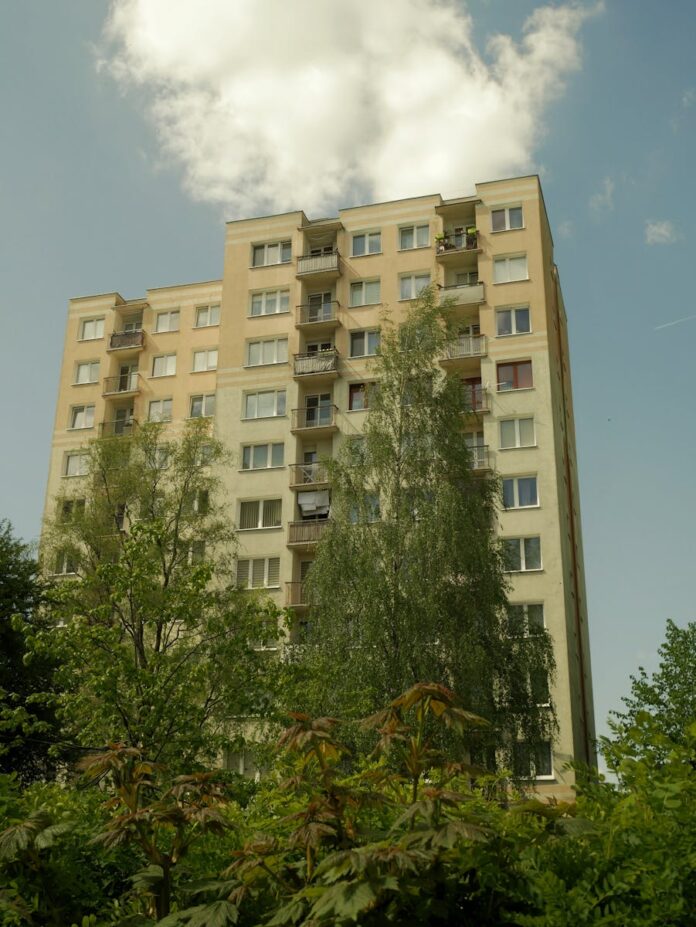 Jakie rośliny najlepiej sprawdzą się w ogrodzie w Krosnie?