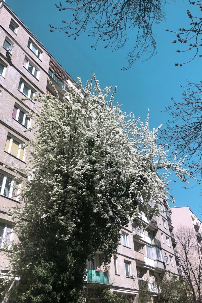 Jak rozwijać lokalne inicjatywy biznesowe w Krośnie?